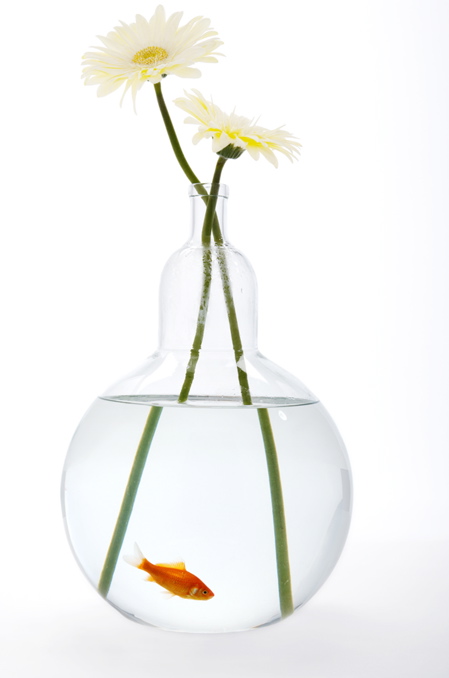 fishbowl-bottle-vase
